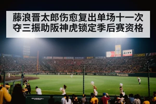 japanese baseball stadium